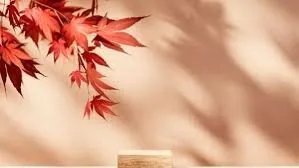 استقبال الخريف بصحة وسعادة: دليل شامل للاستعداد لموسم 2025