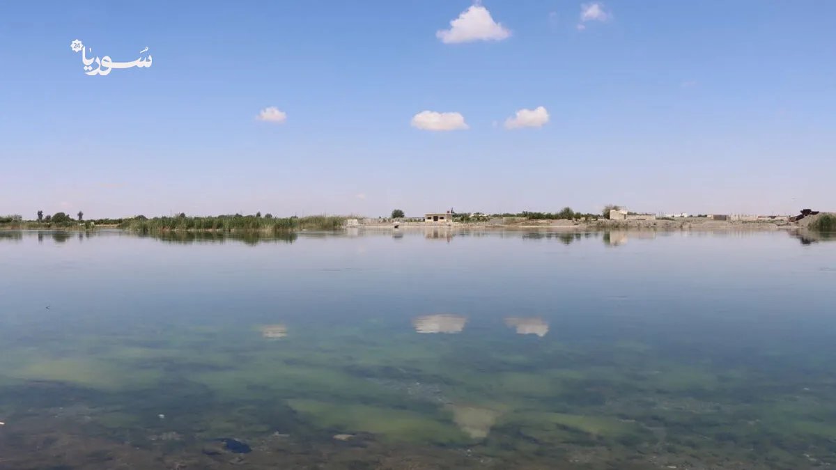 صيف الرقة الدامي: نهر الفرات يتحول إلى مقبرة تهدد أرواح الأطفال والشباب