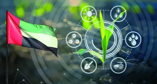 جامعة الإمارات تسجل براءة اختراع أمريكية لبطاريات صديقة للبيئة تحول ثاني أكسيد الكربون إلى طاقة