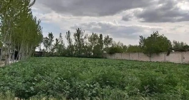 تدهور الزراعة السورية: صدمات اقتصادية ومناخية تهدد مستقبل الإنتاج