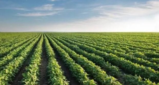 مخاوف من تكرار كوارث الموسم الماضي: الفلاح السوري ينتظر الدعم مع قرب بدء الموسم الزراعي الجديد