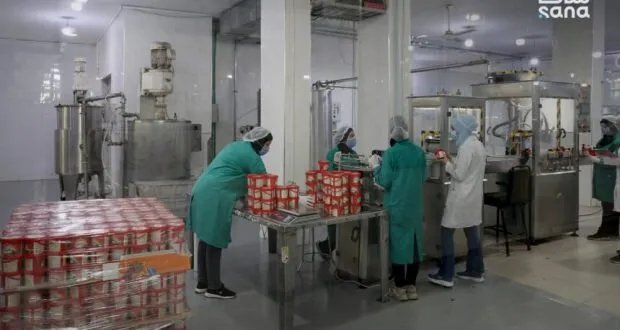 الكونسروة السورية: جودة من الحقول المحلية تغزو الأسواق العالمية