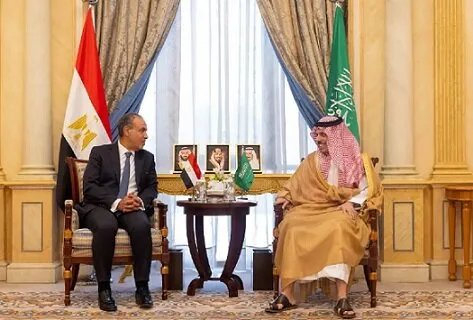 مصر والسعودية تكثفان جهودهما للاعتراف بفلسطين ووقف العدوان على غزة وتبحثان تداعيات الأحداث الأخيرة