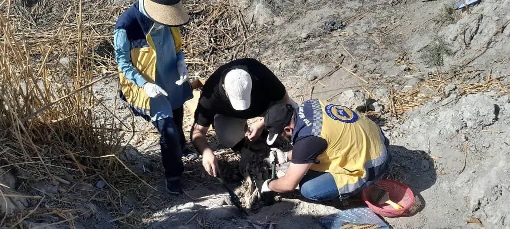 بعد 11 عامًا على فاجعة العتيبة: انتشال رفات 170 ضحية من مقبرة جماعية بريف دمشق