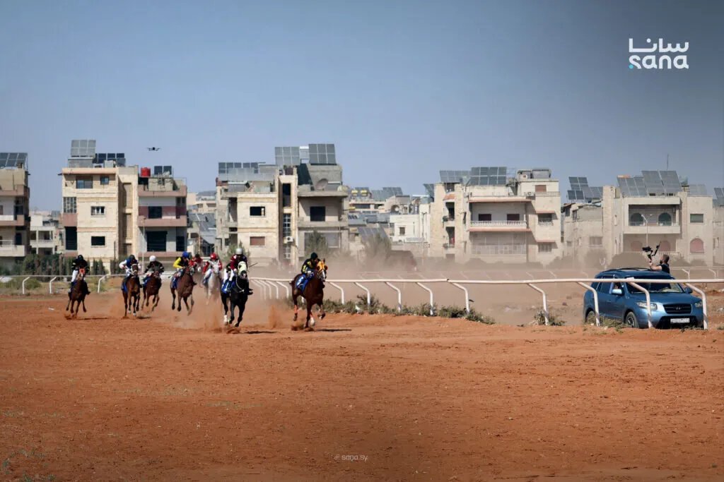 الجمعية السورية للخيول العربية الأصيلة تتألق في مهرجان ربيع حماة بالسباق السابع