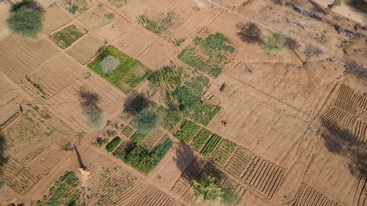 الأمم المتحدة تحذر: التصحر والجفاف يفاقمان أزمة الفقر في الدول النامية