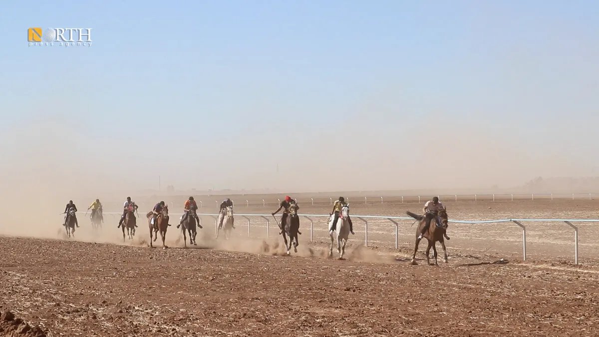 القامشلي: مهرجان الجزيرة للخيول العربية الأصيلة يعود بنسخته الثانية بمشاركة واسعة