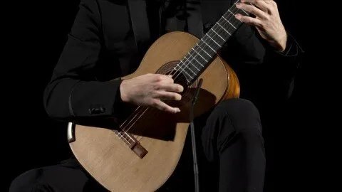 أكثر من 400 فنان عالمي يطلقون مبادرة "لا موسيقى للإبادة" لمقاطعة إسرائيل ثقافياً