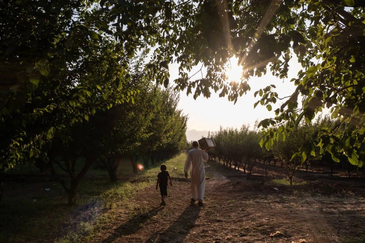 عودة الحياة إلى ترمسة: آلاف السوريين يعودون إلى قريتهم بعد سنوات النزوح