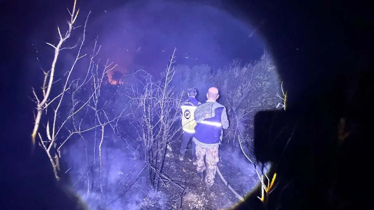 اللاذقية تطلق نظام إنذار مبكر وتفتح خطوط نار لمواجهة حرائق الغابات