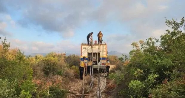 اللاذقية: فرق الإطفاء تكافح حرائق متعددة في جبل التركمان وجبل الأكراد