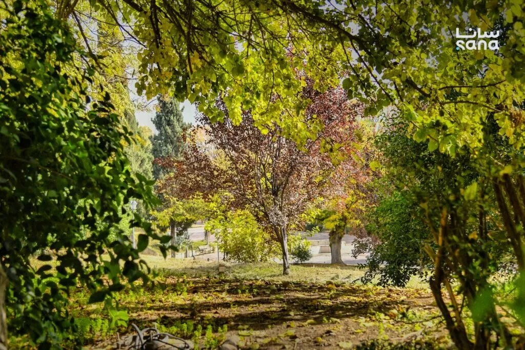 سوريا تستقبل الخريف فلكياً: تساوي الليل والنهار وتناقص تدريجي لساعات الضوء