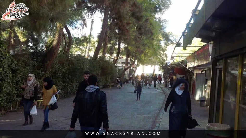 المدينة الجامعية بدمشق تنفي تحويل السكن لاستثمار خاص وتوضح سبب إخلاء الطالبات مؤقتاً