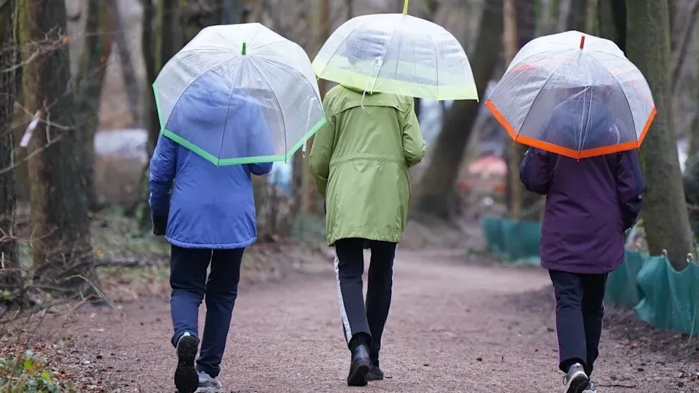 ألمانيا تستقبل "أكتوبر الذهبي" بتقلبات جوية حادة: انخفاض مفاجئ في الحرارة وأمل بعودة الدفء