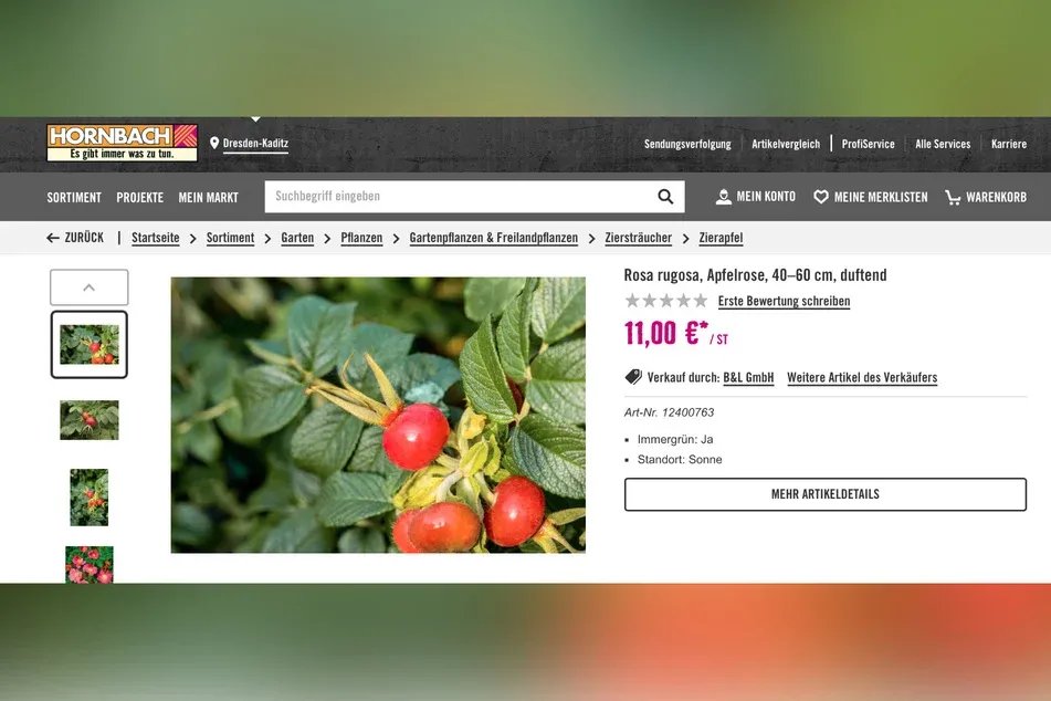 دعوى قضائية ضد "هورنباخ" في ألمانيا بتهمة تضليل المستهلكين حول النباتات الصديقة للبيئة
