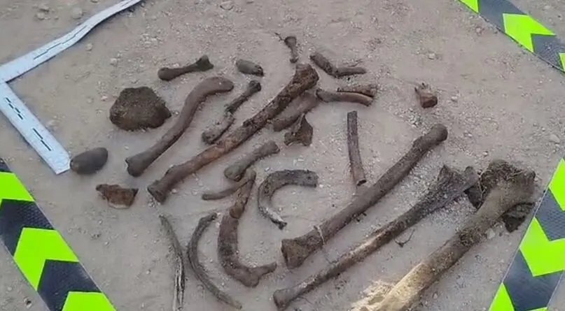 شهادات مروعة تكشف تفاصيل المقابر الجماعية في دمشق: شاهد عيان يفضح الجرائم