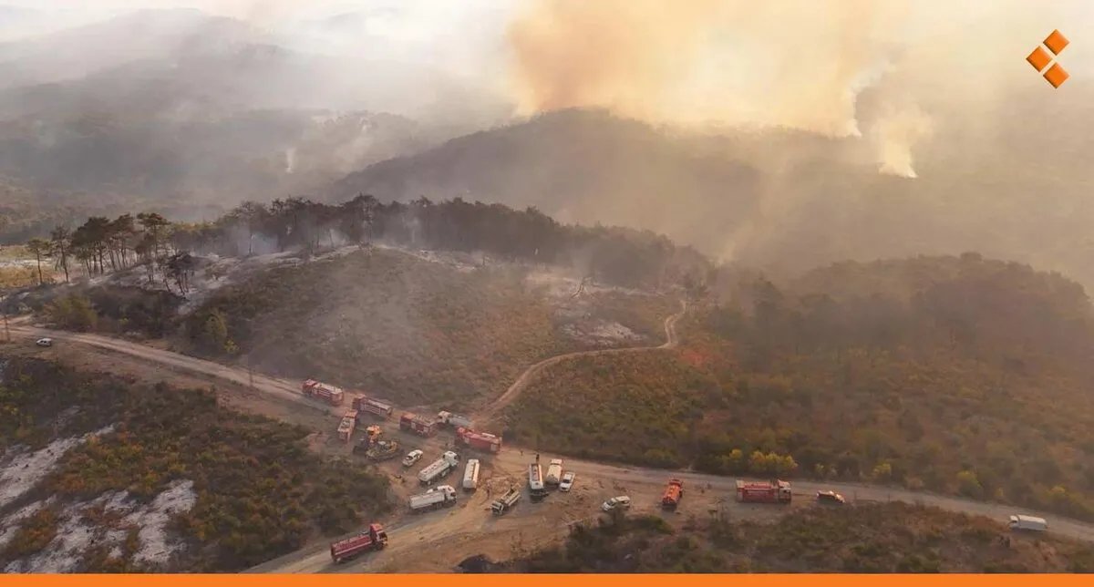 لليوم الثالث: استمرار حرائق اللاذقية والدفاع المدني يطلب تعزيزات