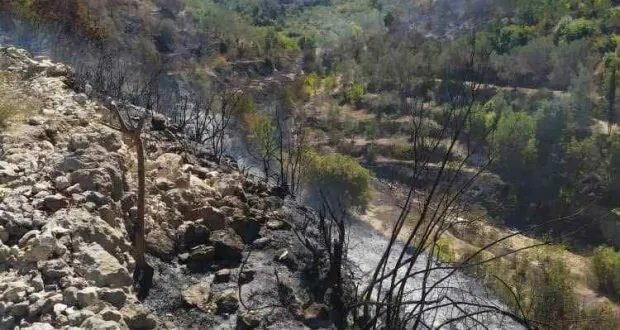 السيطرة على حرائق طرطوس وإجراءات احترازية لمنع امتدادها نحو حمص