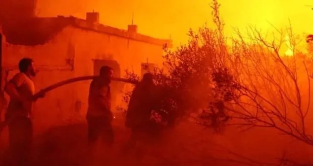 اللاذقية تحترق: جهود مضنية لإخماد حرائق الريف وسط تحديات كبيرة