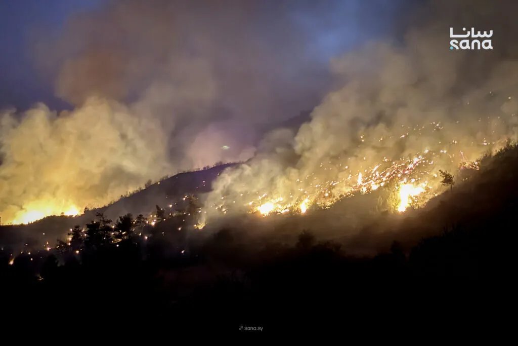 حرائق الغابات تتسع في ريف اللاذقية وتعيق الرياح جهود الإطفاء