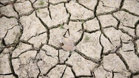 تركيا تواجه أزمة جفاف غير مسبوقة منذ نصف قرن: تفاصيل وتداعيات