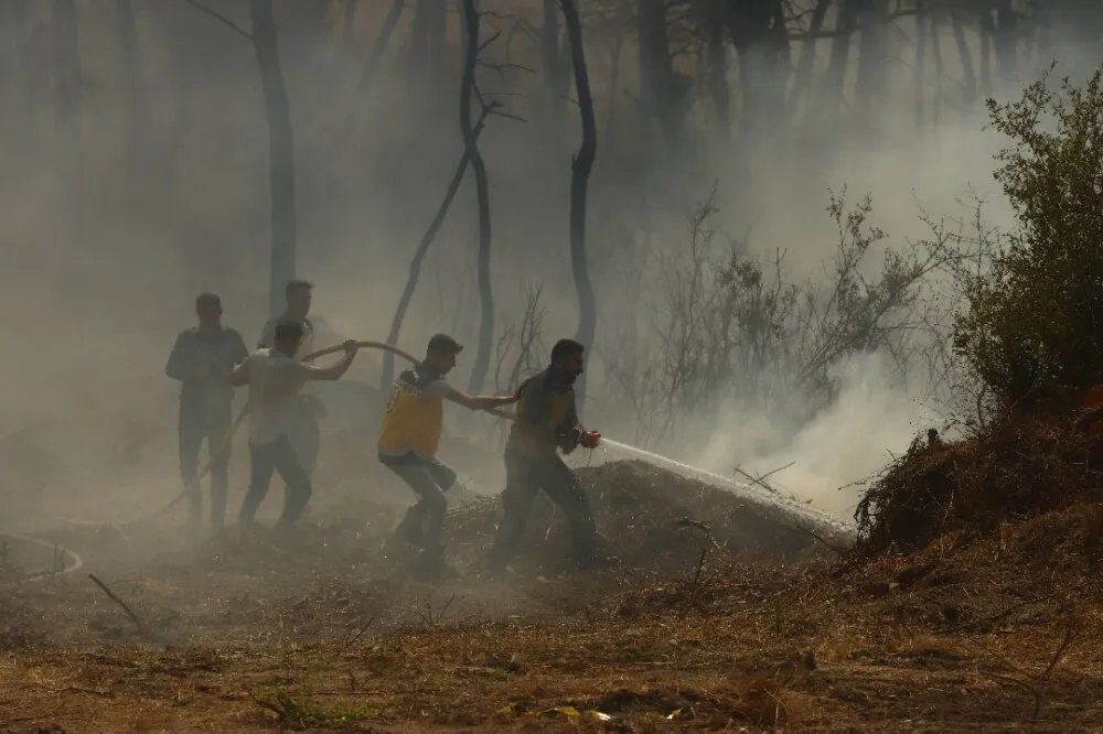 اللاذقية تحترق: فرق الإطفاء تواجه صعوبات جمة في مكافحة حرائق الغابات المتفاقمة