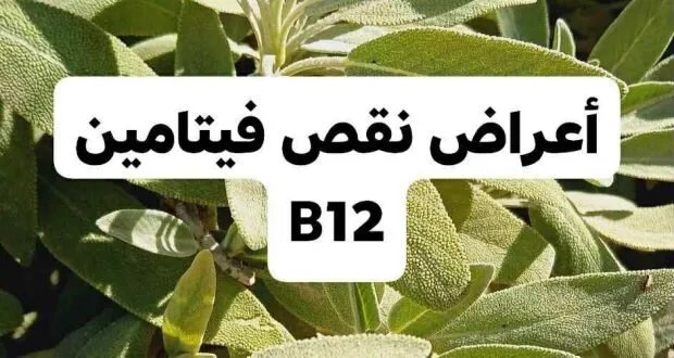 اكتشف أعراض نقص فيتامين B12 وطرق علاجه الطبيعية