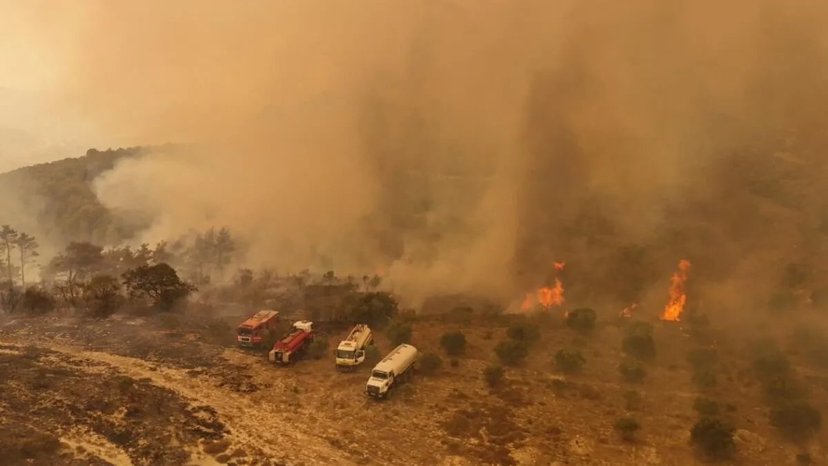 الأرصاد الجوية: الأمطار المتوقعة لن تساهم في إخماد حرائق الساحل السوري