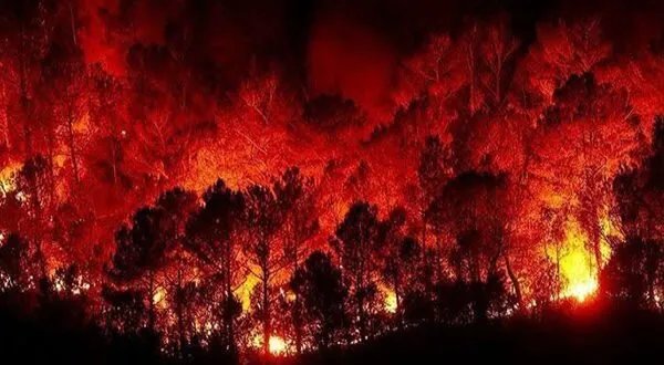 سوريا تحترق: رجال الإطفاء يواجهون حرائق متعددة بإمكانيات محدودة