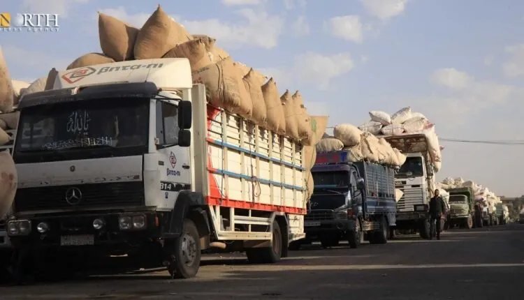 الإدارة الذاتية تحدد سعر شراء القطن بـ 600 دولار للطن الواحد