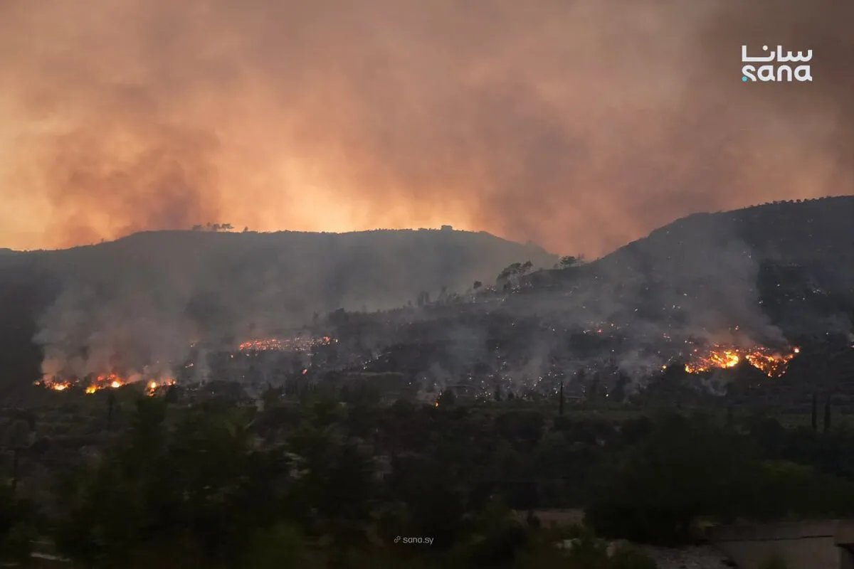 فاجعة في اللاذقية: استشهاد عنصر من الدفاع المدني أثناء مكافحة حرائق الغابات