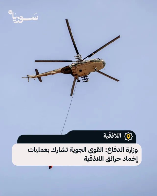 الجيش السوري يتدخل: القوى الجوية تساند جهود إخماد حرائق اللاذقية