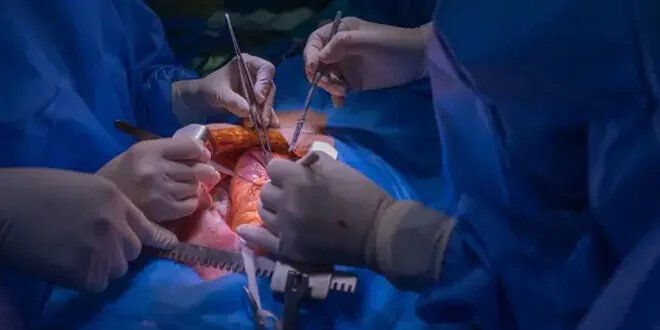 طوكيو: علاج رائد لقصور القلب الحاد باستخدام صفائح الخلايا الجذعية