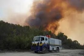 وزير الطوارئ يعلن إخماد حرائق اللاذقية مع خسائر مفجعة