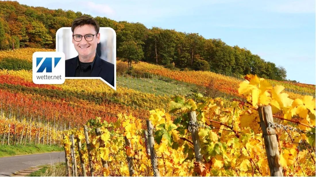 توقعات مناخية غير مسبوقة: هل يحمل أكتوبر 2025 مفاجآت لألمانيا؟