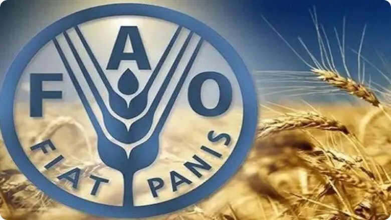 الجفاف يهدد الأمن الغذائي في سوريا: الفاو تحذر من كارثة زراعية وشح في القمح