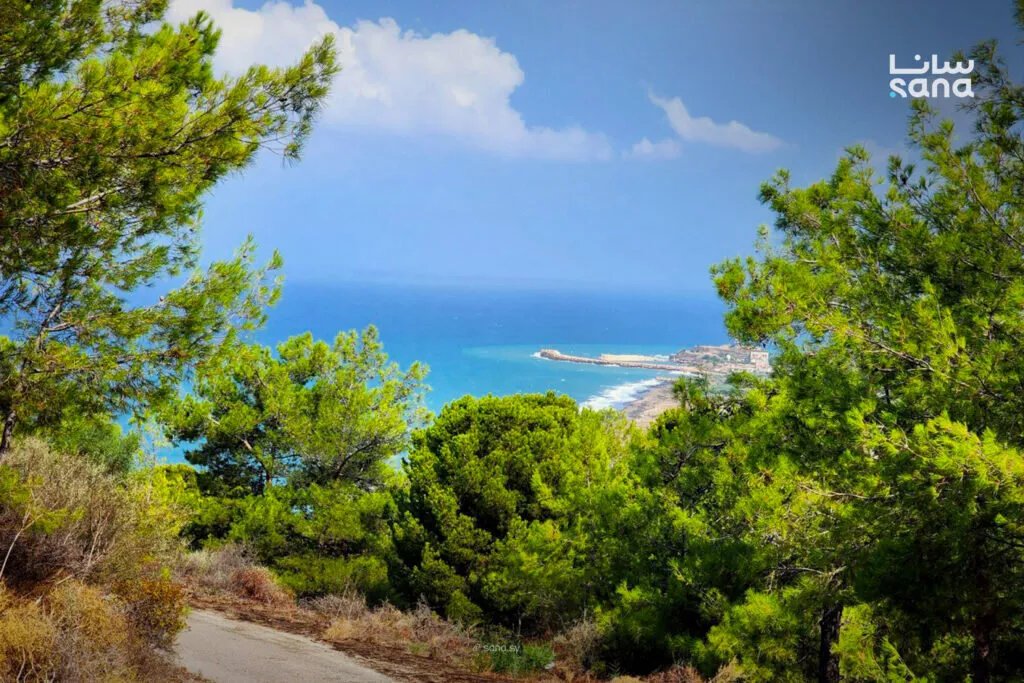 سوريا: طقس خريفي معتدل مع ارتفاع طفيف في درجات الحرارة