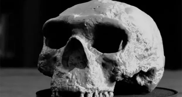اكتشاف جمجمة عمرها مليون عام يغير فهمنا لتطور الإنسان ويكشف تفاصيل جديدة