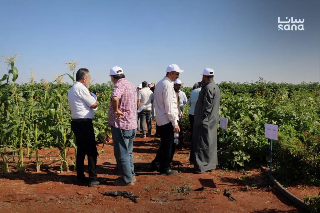 مشروع في إدلب لحماية المحاصيل الزراعية المحلية من آثار تغير المناخ