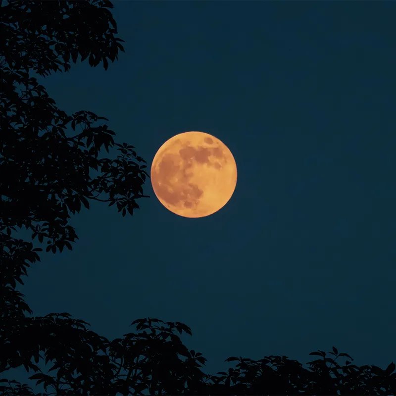 فرصة ذهبية لمحبي الفلك: القمر يغازل أربعة كواكب لامعة في سماء تشرين الأول