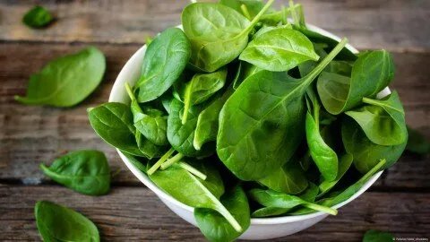 الكالي والسبانخ: مقارنة غذائية شاملة لتحديد الأفضل لصحتك