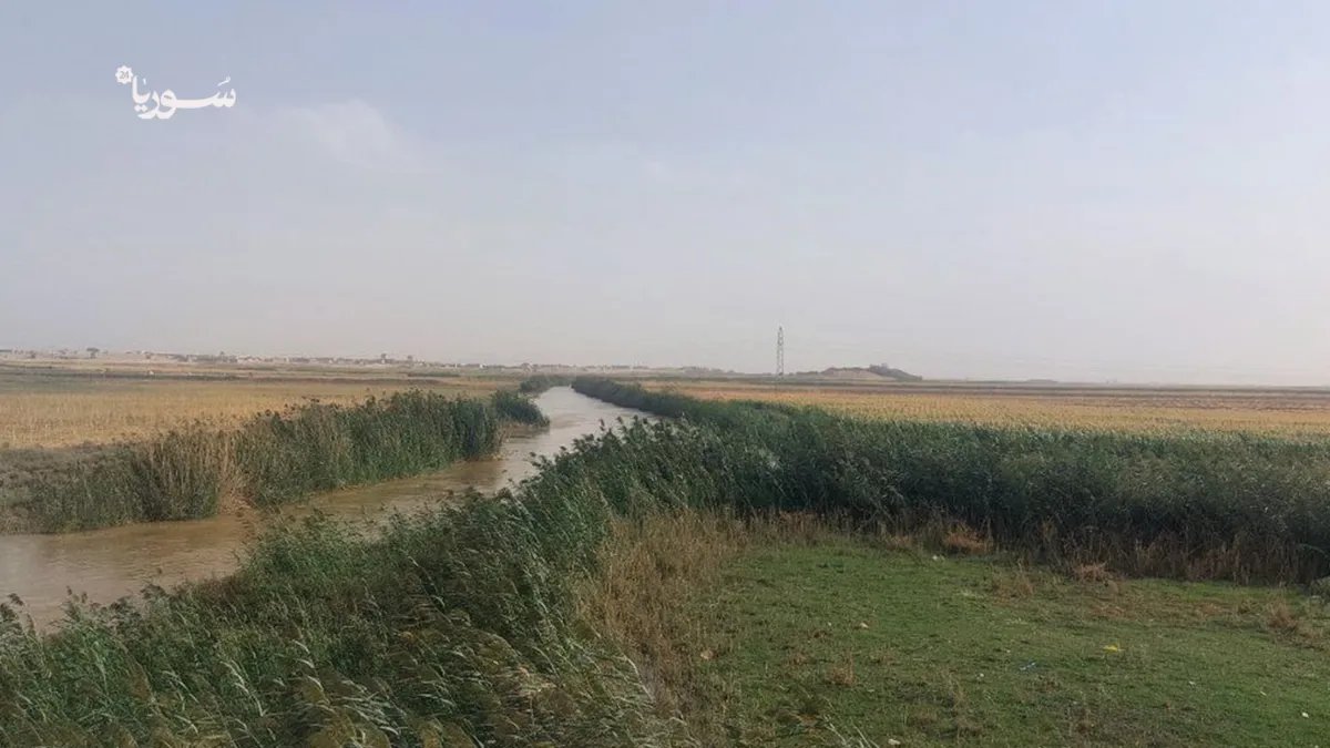 تدهور نهر البليخ يهدد أراضي قرية الرقة السمرة بخسائر فادحة