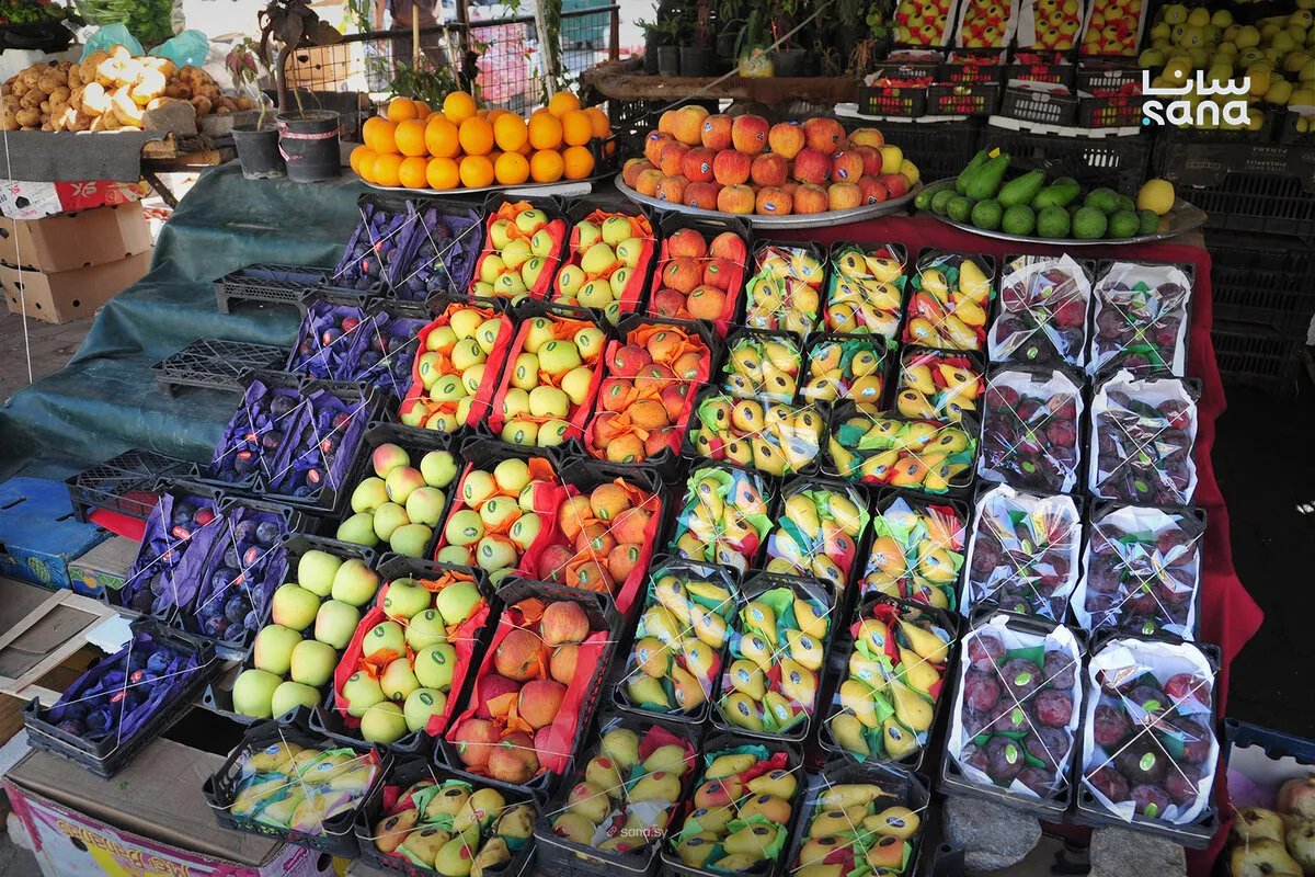 تقرير مصور: أسعار الفواكه والخضراوات في سوق نهر عيشة بدمشق اليوم
