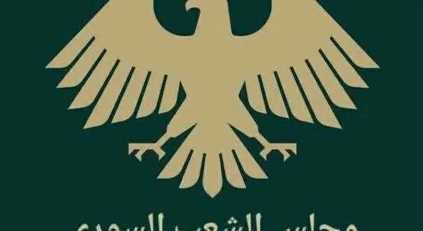 صلاحيات ومسؤوليات عضو مجلس الشعب في سوريا: نظرة مفصلة