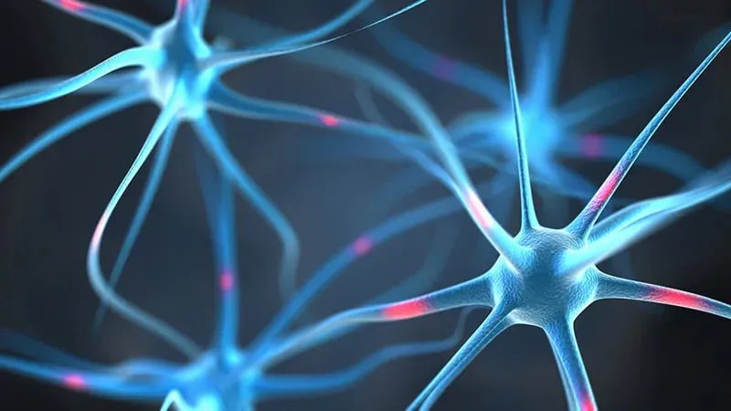 اكتشاف واعد: باحثون أمريكيون يحددون آلية مناعية محتملة وراء مرض العصبون الحركي