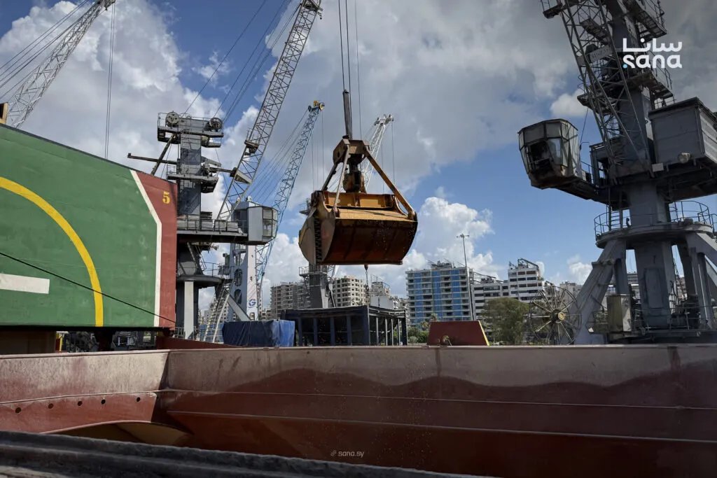 وصول شحنة ضخمة من الأعلاف إلى اللاذقية لدعم الثروة الحيوانية