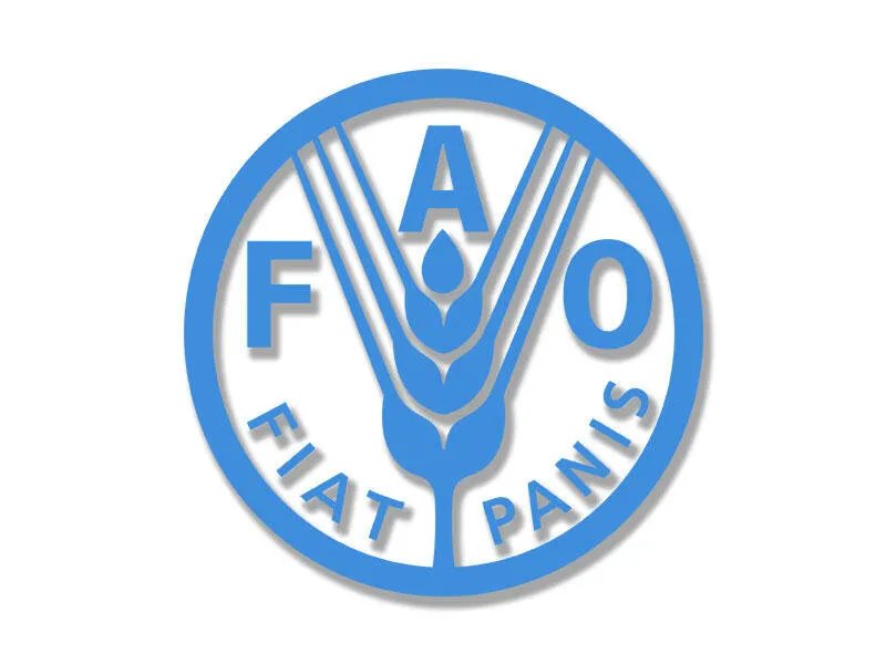 الفاو: انخفاض أسعار الغذاء عالميًا في سبتمبر وارتفاع ملحوظ في توقعات إنتاج الحبوب لعام 2025