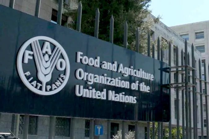 الفاو: انخفاض أسعار الغذاء العالمية في أيلول بفضل تراجع الألبان والسكر