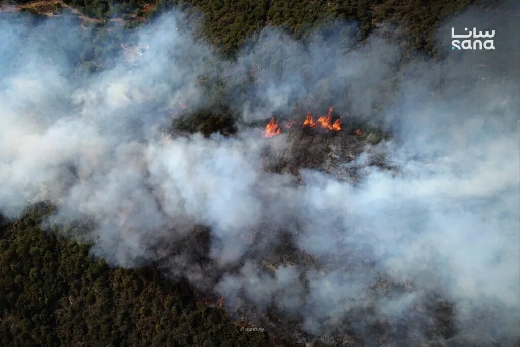حريق يلتهم أراضي اللاذقية بسبب لغم من مخلفات النظام السابق ويعيق جهود الإطفاء