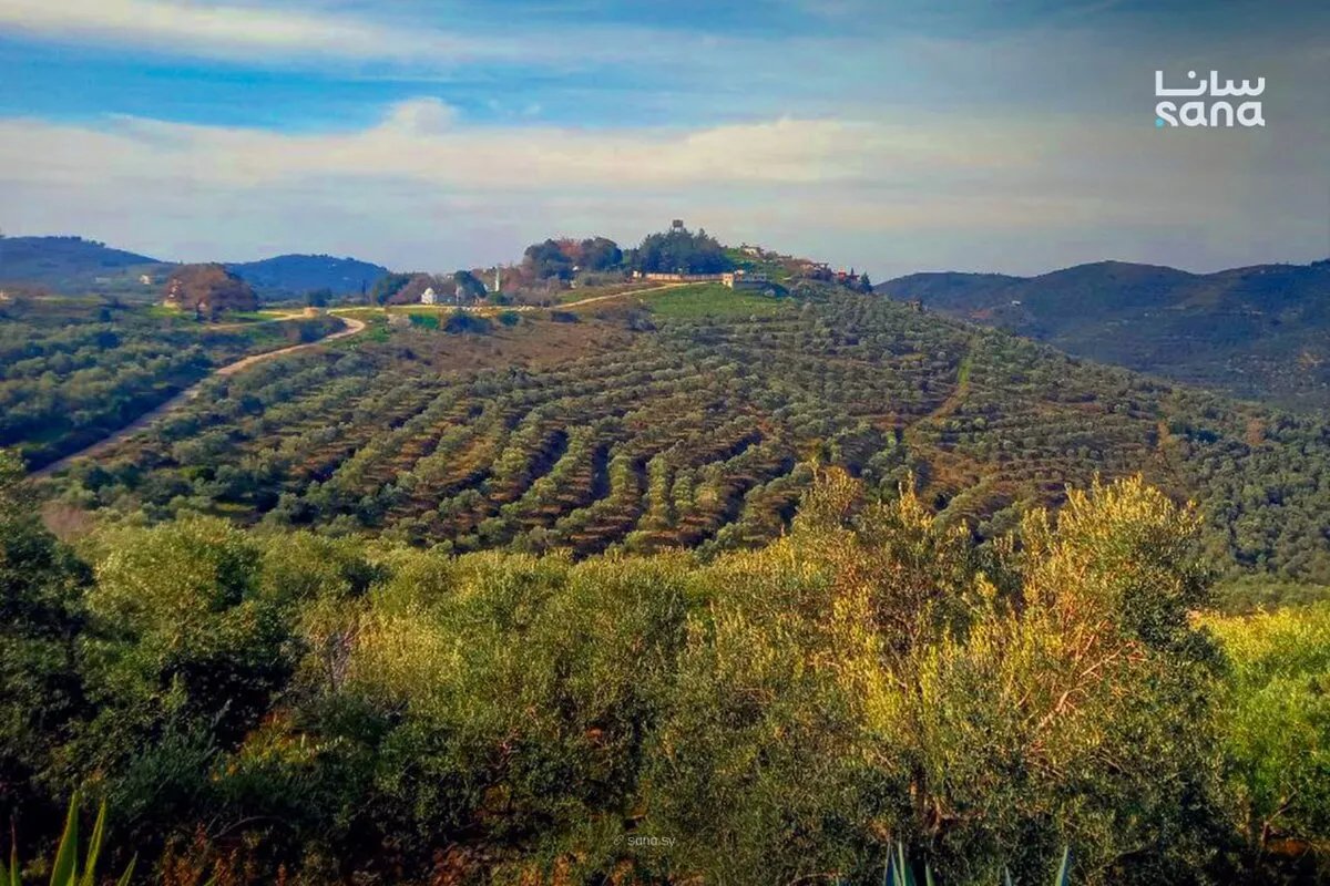 سوريا: أجواء خريفية مستقرة مع ارتفاع في درجات الحرارة يتجاوز المعدلات السنوية